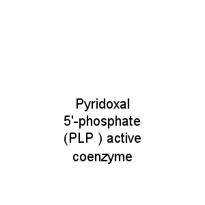 Pyridoxal 5'-phosphate (PLP ) active coenzyme